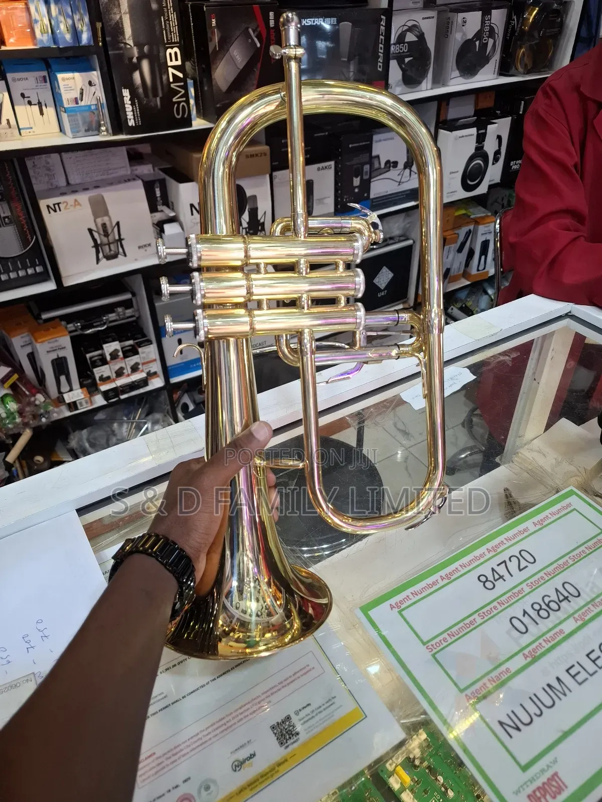 Suzuki Fluguel Horn