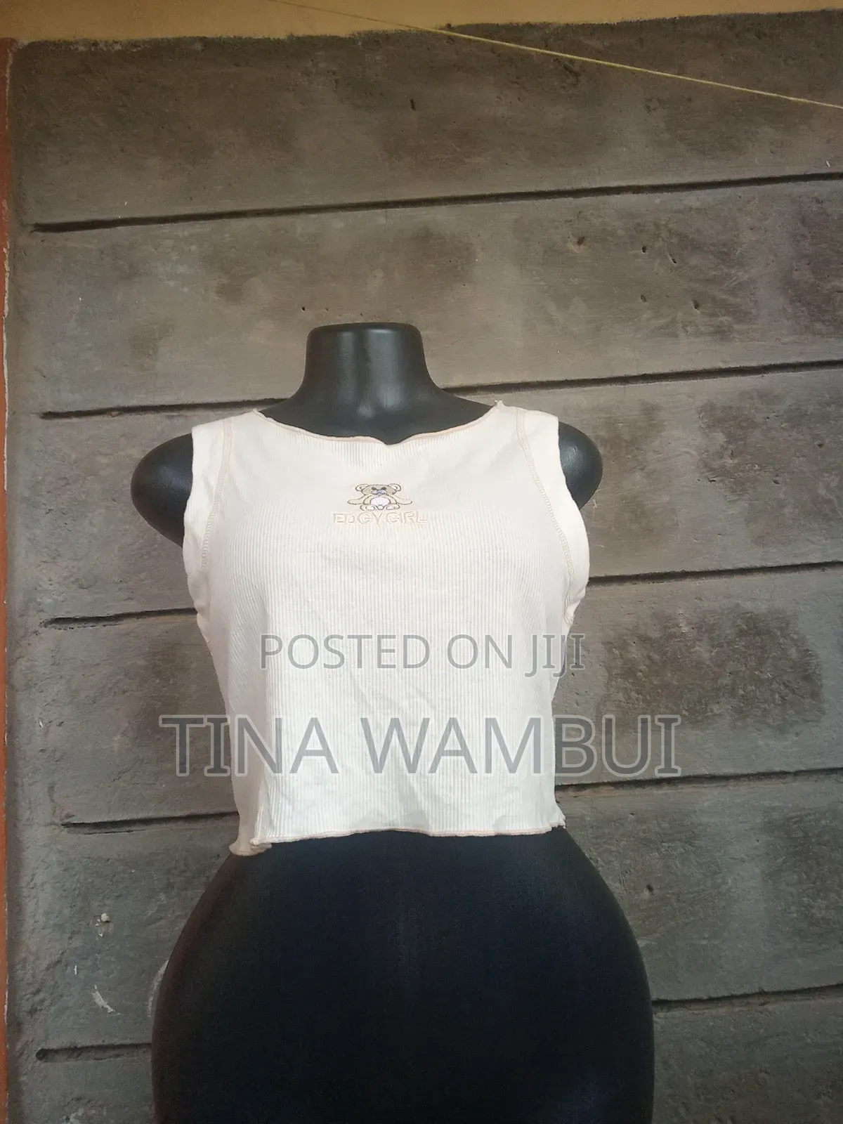 Thrifted Crop Tops