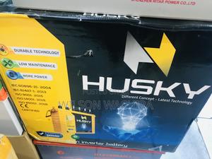 Husky Tall Turbular Battery. 250ah - main view