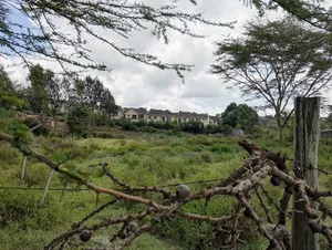 Ngong Kibiko Commercial Plot