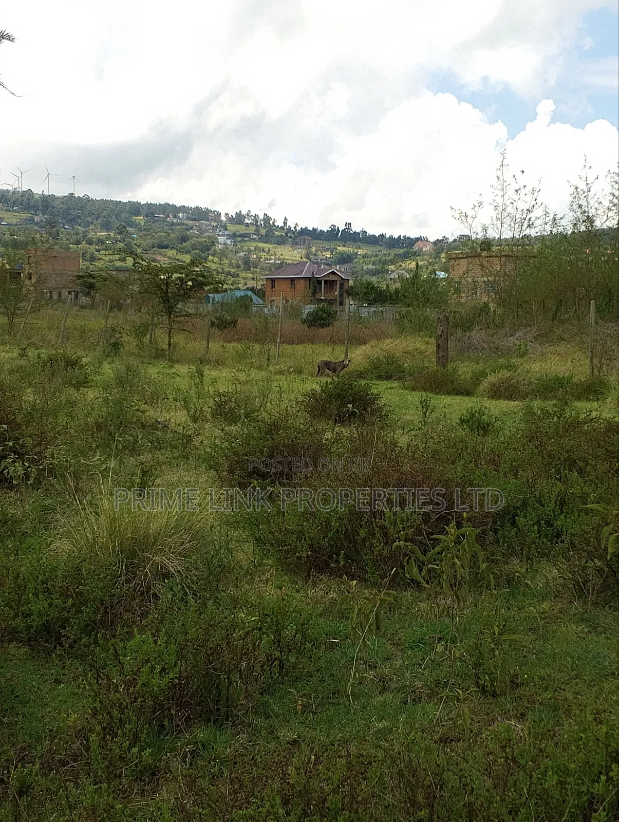 Ngong Kibiko Commercial Plot