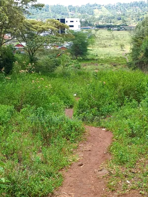 Ngong Kibiko Commercial Plot