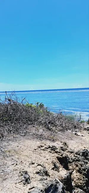 For Sale 25 Acres Beach Land Tiwi