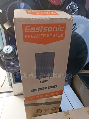 Eastsonic 8 Inch Rechargable Speaker With A Microphone