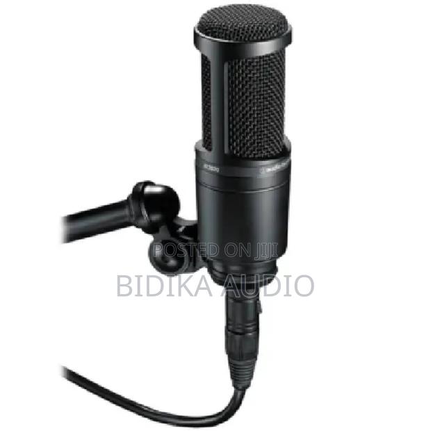 Audio-Technica At2020 Condenser Microphone
