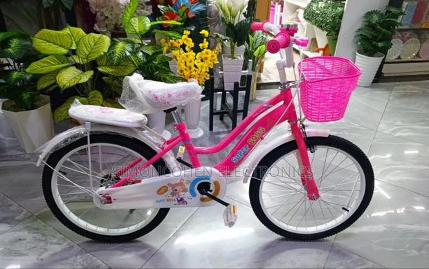 Girl Bike Size 20 - main view