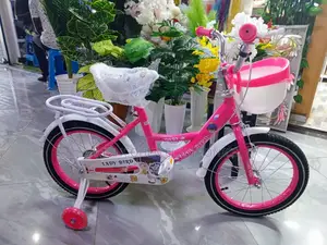 Girl Bike Size 16