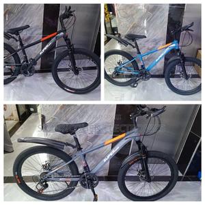 Bike Size 24 - thumbnail 2