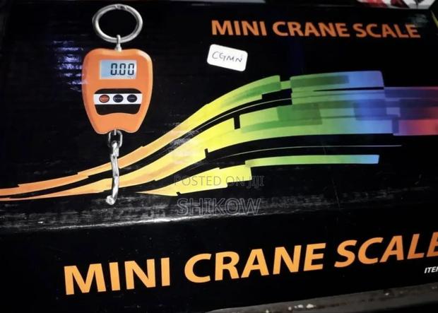 Crane Scale 300kg