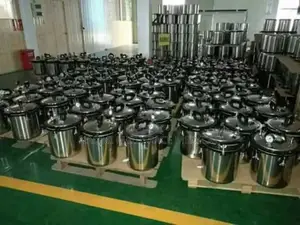 Autoclave 24l on Offer