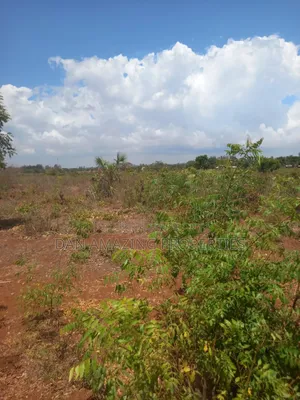 1 Acre in Msa Vipingo for Sale Touching Two Service Road