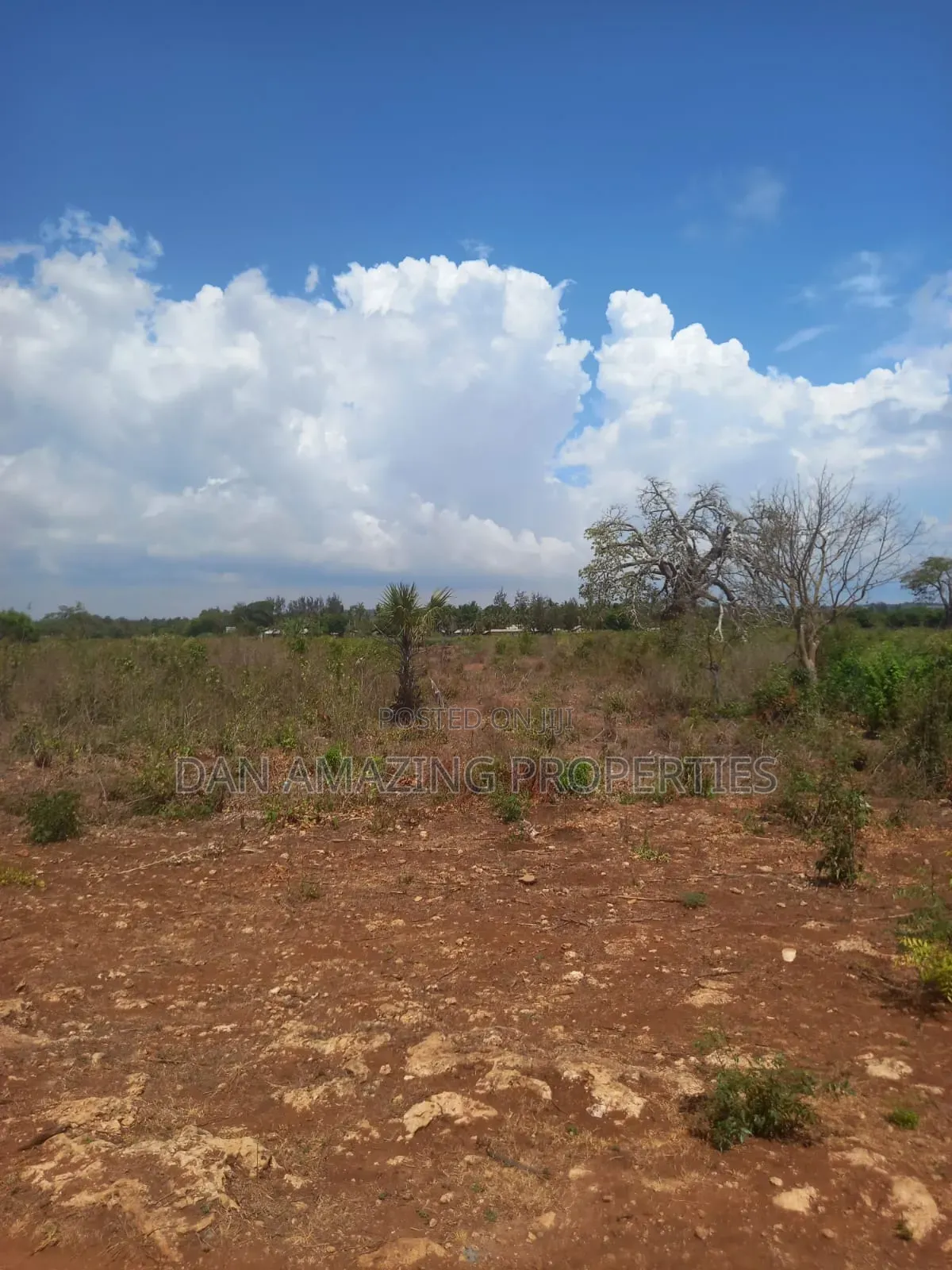 1/4 Acre Msa Vipingo for Sale Touching 2 Service Roads