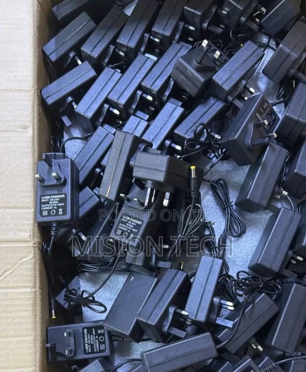 21v Lithium Battery Charger* - main view