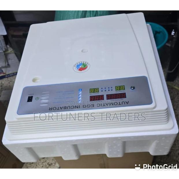 Incubator Automatic Incubator 54pcs - main view