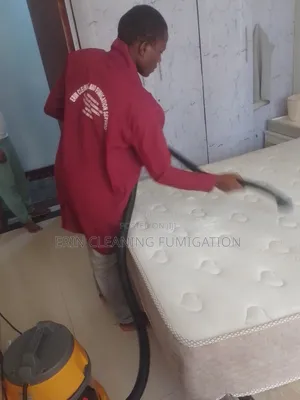 Professional Couch Carpet and Mattress Cleaning