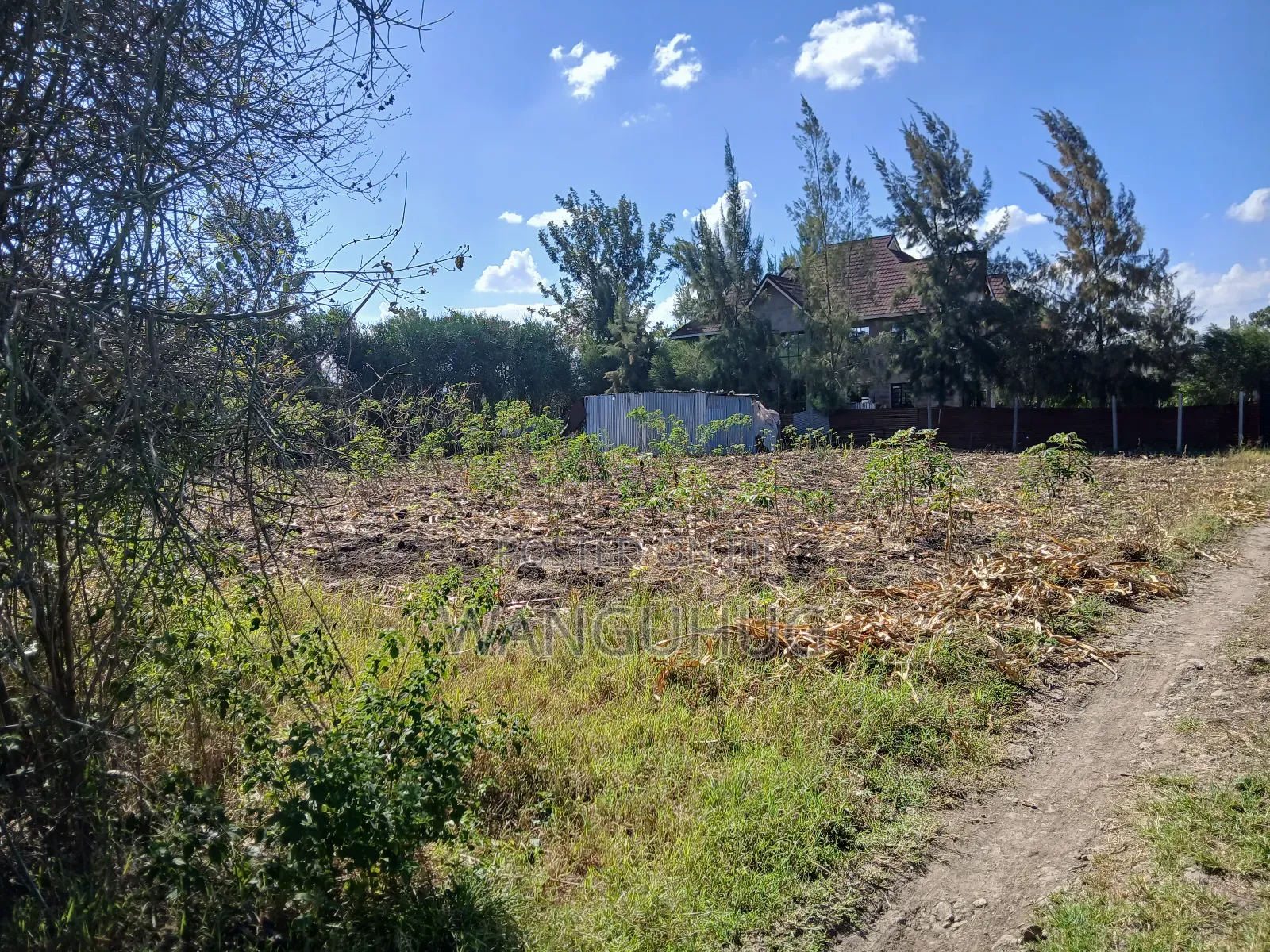 Residential Plot 125 X 100 Feet