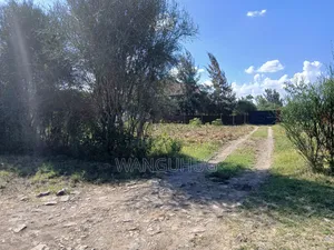 Residential Plot 125 X 100 Feet