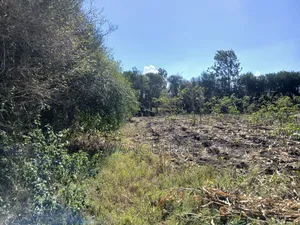 Residential Plot 125 X 100 Feet