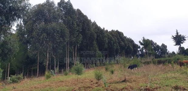 2.5 Acres For Sale Nyandarua