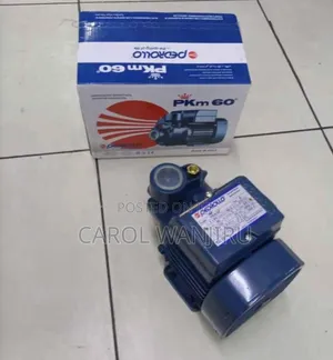 Pedrollo Water Pump/ Pkm60 Pedrollo Water Pump