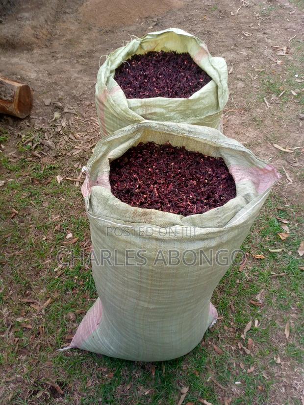 Hibiscus ( Roselle) - thumbnail 3