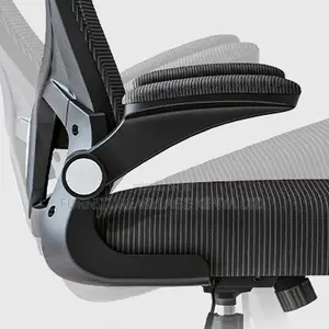 Adult Task Chair With Lumbar Support