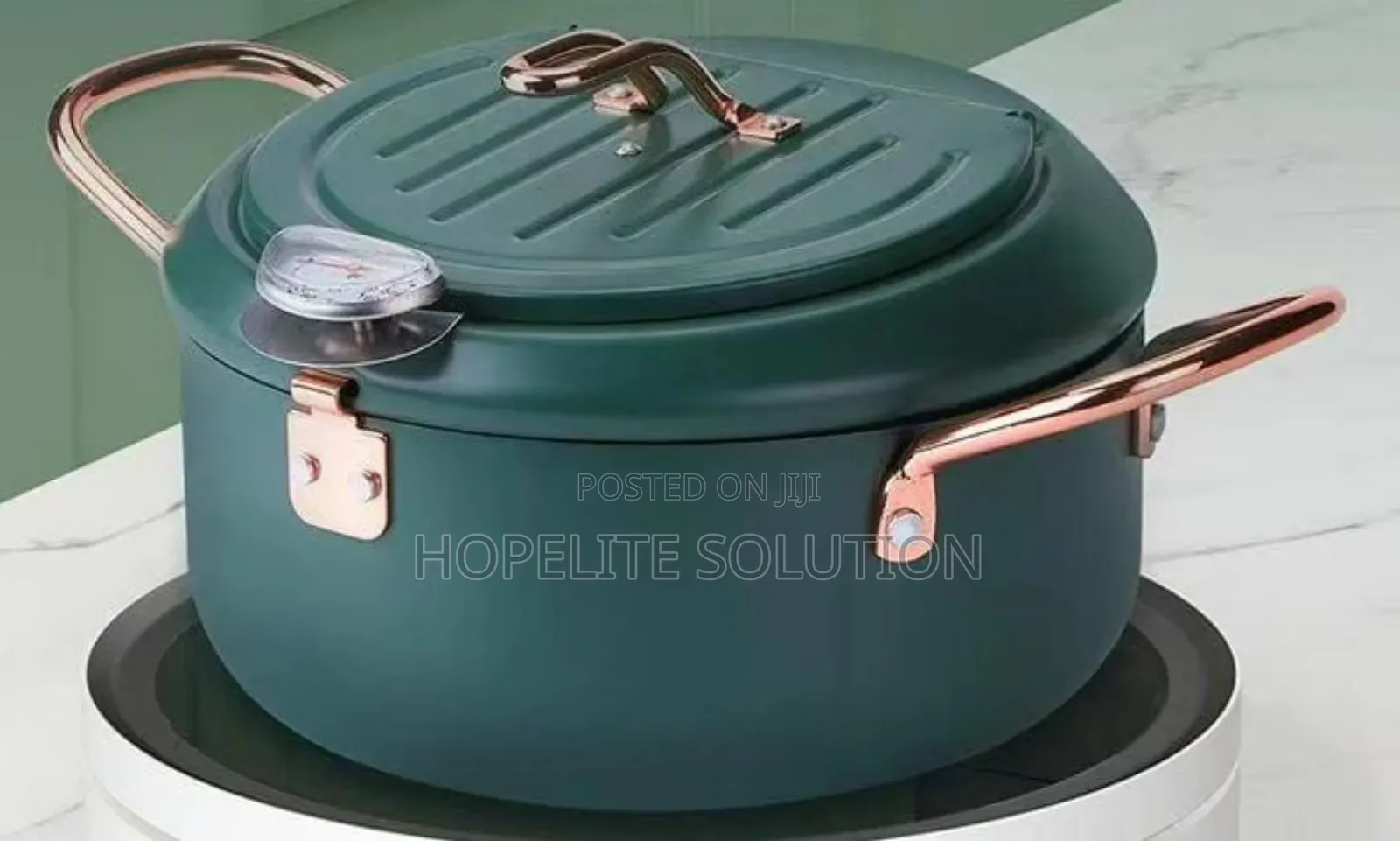 Frying Pot With Thermometer