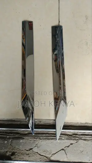 Door Moulding Lexus, Rx 270,300,370,470