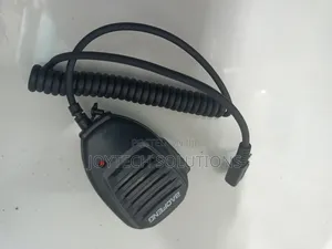 Baofeng Mic With Two Pins