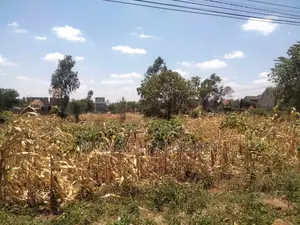 An Eighth Acre for Sale in Kenyatta Road Croton Estate Area