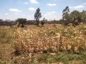 An Eighth Acre for Sale in Kenyatta Road Croton Estate Area
