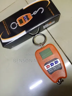 200kg Crane Scale