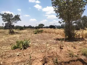 An Eighth Acre for Sale in Kenyatta Road Croton Estate Area