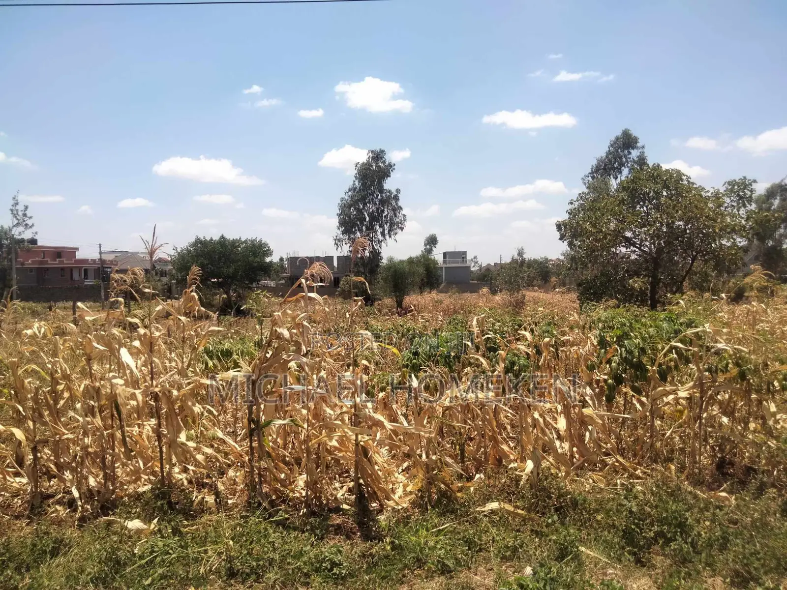 An Eighth Acre for Sale in Kenyatta Road Croton Estate Area