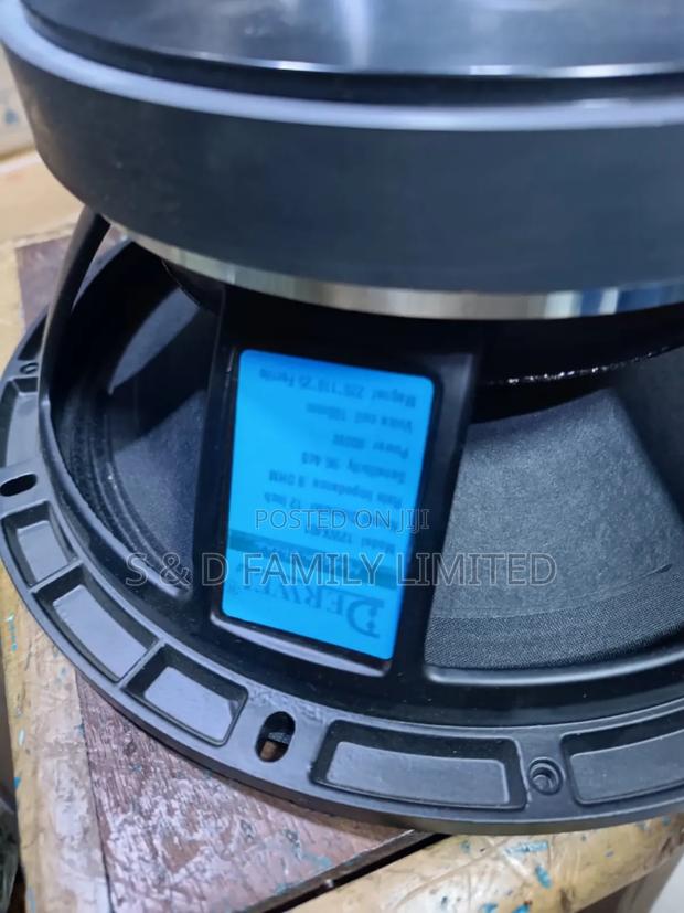 Derwel 12 Inch Naked Speaker - thumbnail 2