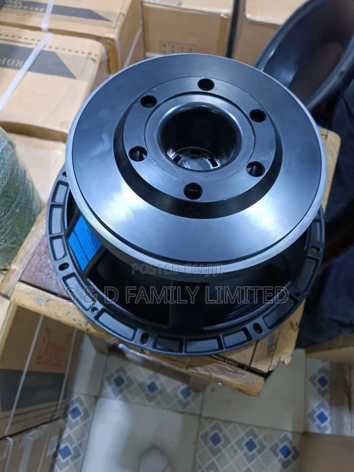 Derwel 12 Inch Naked Speaker