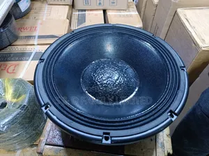 Derwel 12 Inch Naked Speaker