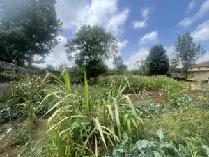Half Acre Plot