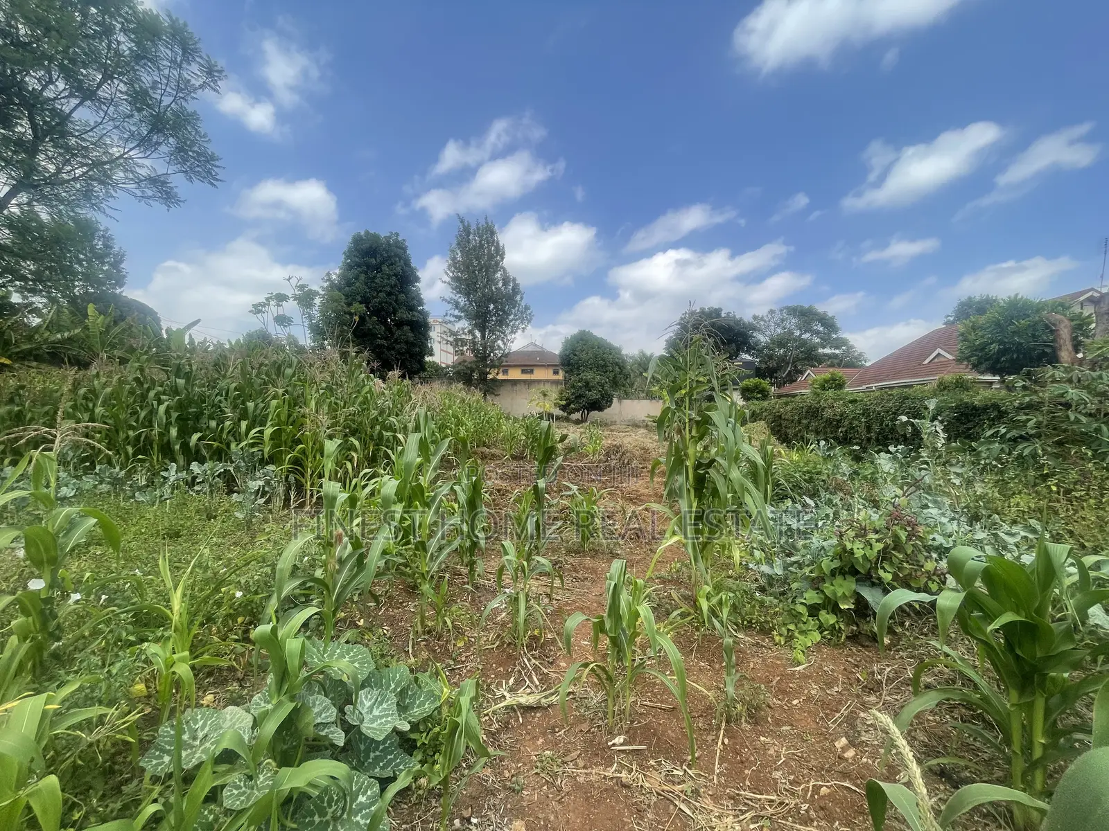 Half Acre Plot