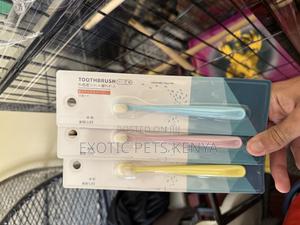 Cat/Kitten Toothbrushes - thumbnail 2