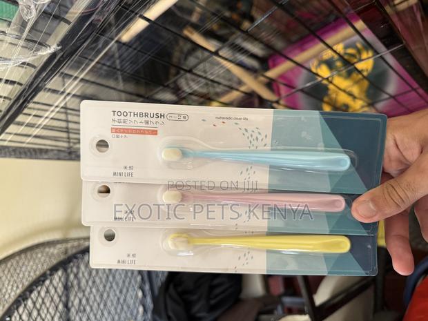 Cat/Kitten Toothbrushes - main view