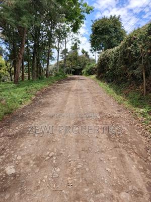 1/8 Acre Plot Matasia - thumbnail 2