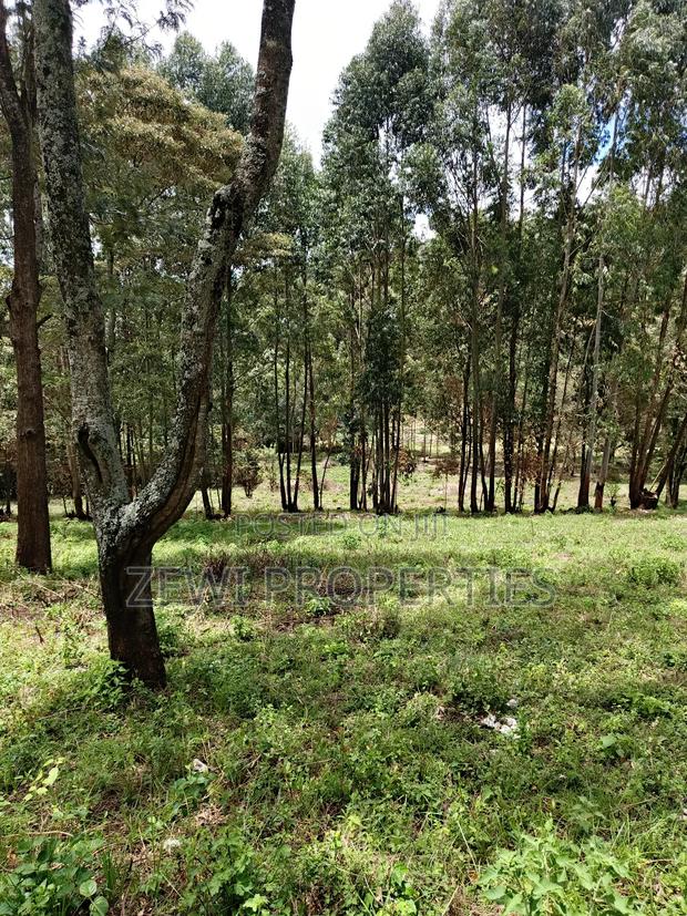 1/8 Acre Plot Matasia - thumbnail 2