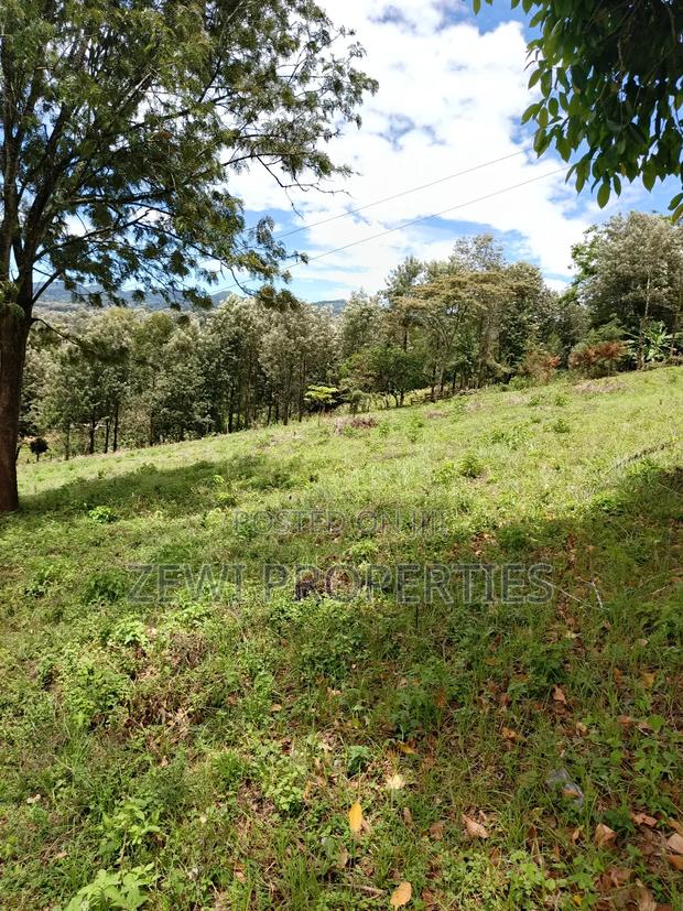 1/8 Acre Plot Matasia - thumbnail 3