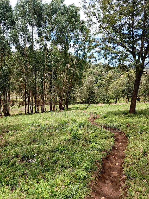 1/8 Acre Plot Matasia - thumbnail 4