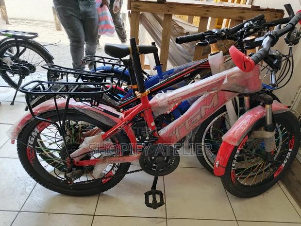 Tgm Size 20 Mountain Bike With Gear