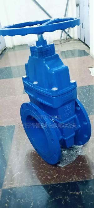 Sluice Valve 10" - main view