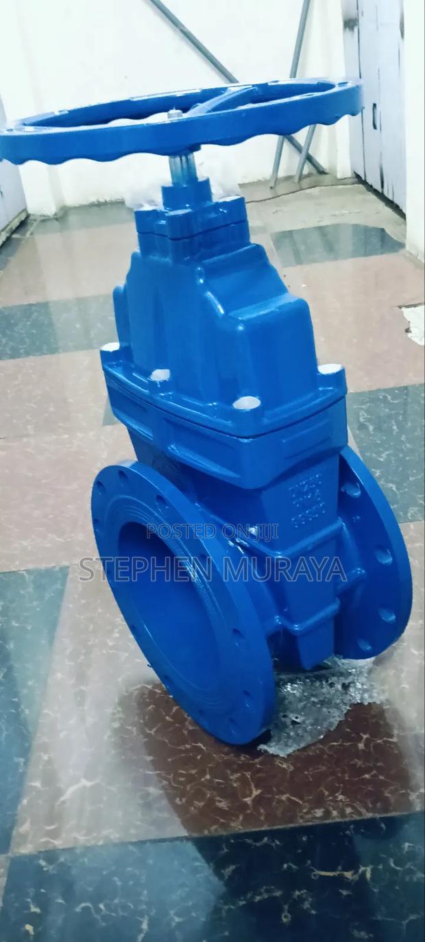 Sluice Valve 10"