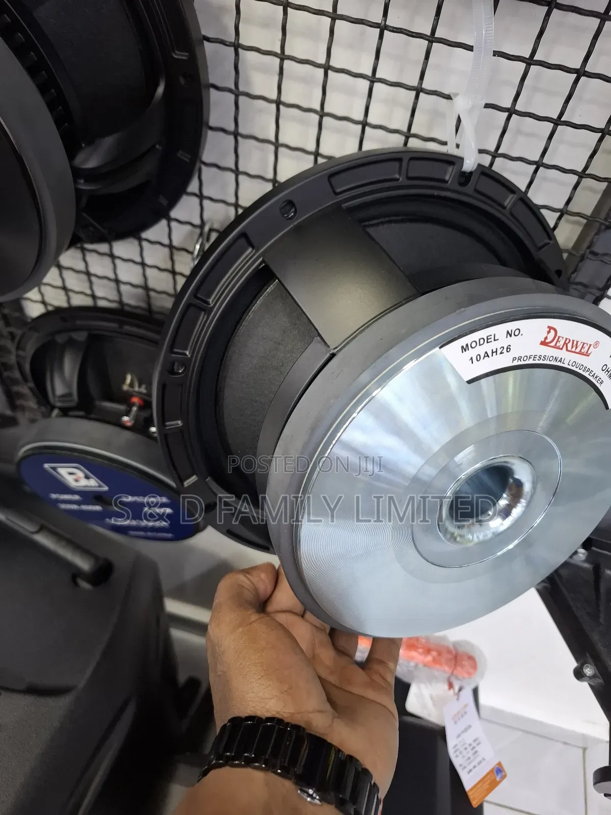 Derwel 10ah26 10 Inch Naked Speaker