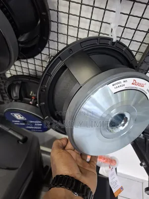 Derwel 10ah26 10 Inch Naked Speaker